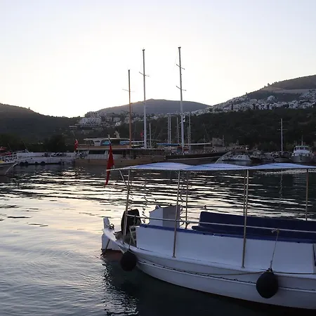 Atherina 3* Kalkan
