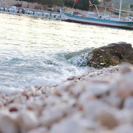 Atherina Kalkan