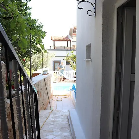 Atherina 3*